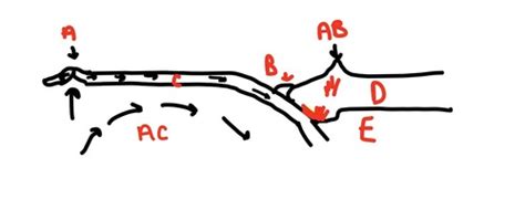 Slab pull diagram Flashcards | Quizlet