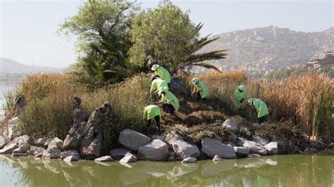 Mejoran Alrededores De La Laguna Alalay Y Proyectan Dragado Para Su