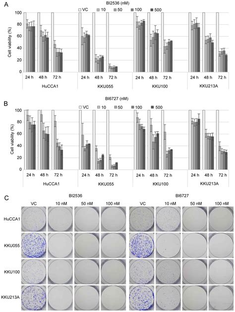 Plk Inhibition Leads To Mitotic Arrest And Triggers Apoptosis In