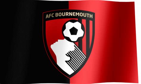 Afc Bournemouth Fan Flag  All Waving Flags