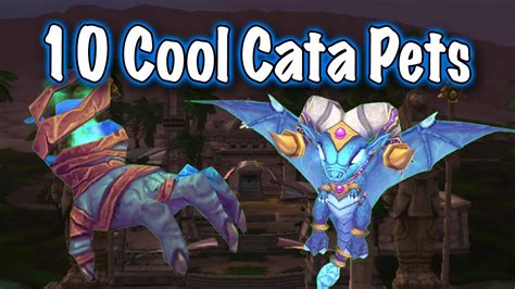 Jessiehealz 10 Awesome Cata Pets Display World Of Warcraft YouTube