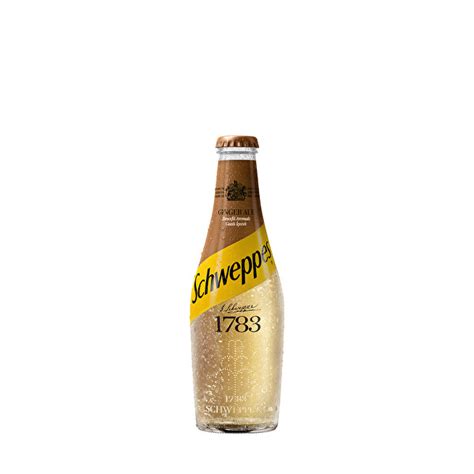 Schweppes Ginger Ale Şişe 250 ml CarrefourSA