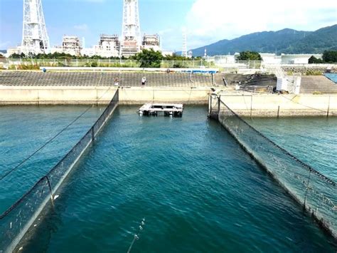 釣りたてがその場で食べられる！和歌山マリーナシティの“海洋釣り堀”海南