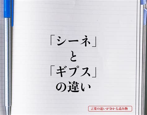 「シーネ」と「ギプス」の違いとは？意味や違いを簡単に解釈 言葉の違いが分かる読み物