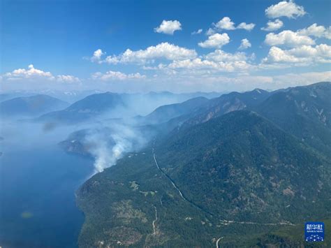 加拿大西部地區高溫乾旱野火蔓延 中國網