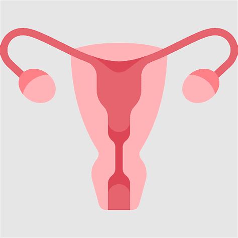 Benign Tumor Uterine Fibroid Caesarean Section Reproductive System