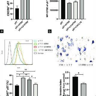 Crosstalk and functional regulation were analyzed between decidual γδ T