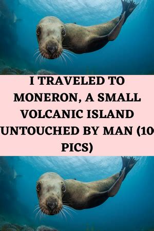 I Traveled To Moneron A Small Volcanic Island Untouched By Man 10 Pics