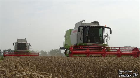 Big Wheat Harvest With X Claas Lexion Youtube