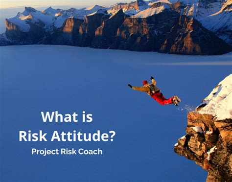 What Is Risk Attitude Project Risk Coach