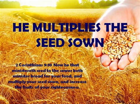 The Power Of Seed Sowing In The Bible Eternal Bible