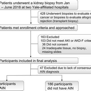 (PDF) Urine TNF-α and IL-9 for clinical diagnosis of acute interstitial nephritis