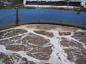 Vista de impresión del artículo Eliminación biológica del nitrógeno de