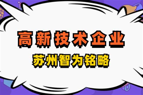 苏州企业服务公司 高新技术企业认定所需财务资料 全托管，无后顾之忧审计