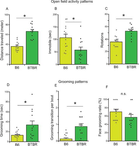 Locomotor And Grooming Behaviors Of Btbr And B Mice In The Open Field