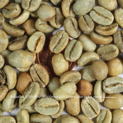 ETHIOPIA Wild Grown Kafa Forest Coffee Natural Gr 3 4