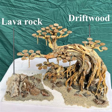 Aquarium Plants Driftwood Bonsai Tree Aquascaping Cave Drift Etsy