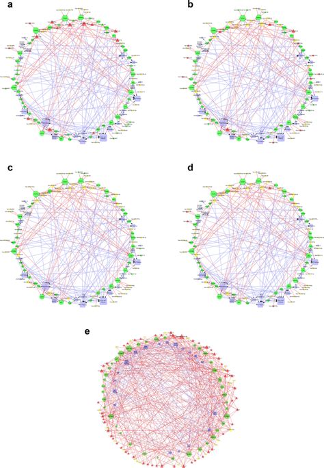 Mirna Gene Pathway Interaction Network Derived From Functional