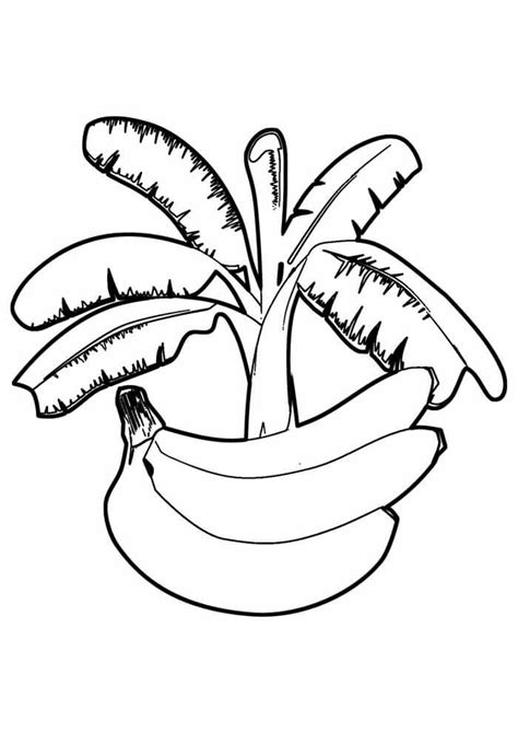 Desenhos De Banana Para Colorir Imprimir E Pintar Colorir Me