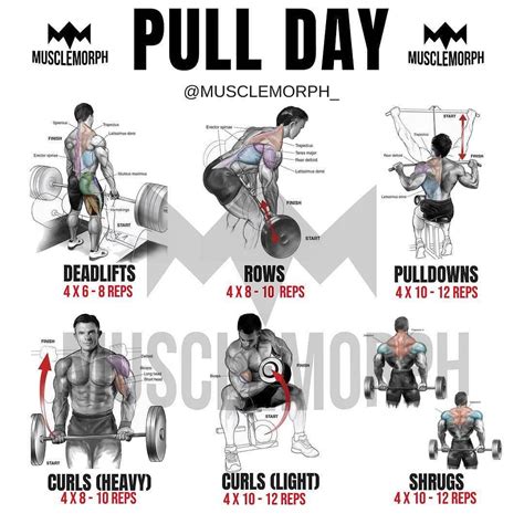 Pull Workout For Yours Save And Try To Improve Your Body Please