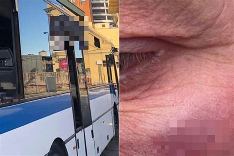 Salgono Sul Bus Picchiano L Autista E Gli Rubano Cellulare Soldi E