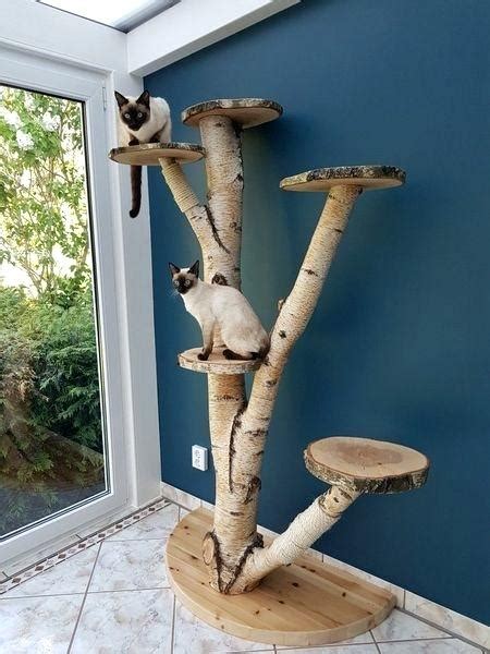 Natural Cat Trees Diy Cat Tree Custom Cat Trees