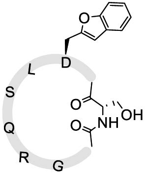 Construction Of Diverse Peptide Structural Architectures Via