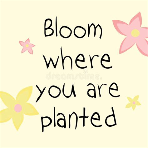 Bloom Where You Are Planted Inspirational Quote Stock Vector