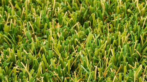 The Essential Residential Artificial Turf Installation Guide Turf Tek USA