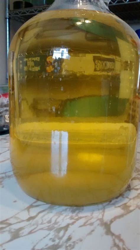 Shows Mead In A Gallon Glass Jug And The Honey Has Separated From The