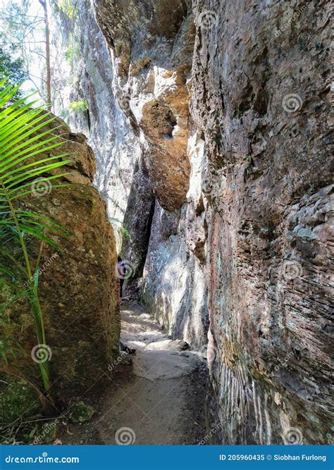 Mysterious Walk Through The Rock Walls Of Purlingbrook Falls