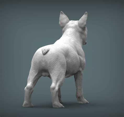 Archivo 3d Boston Terrier Modelo De Impresión 3d・modelo De Impresora 3d Para Descargar・cults