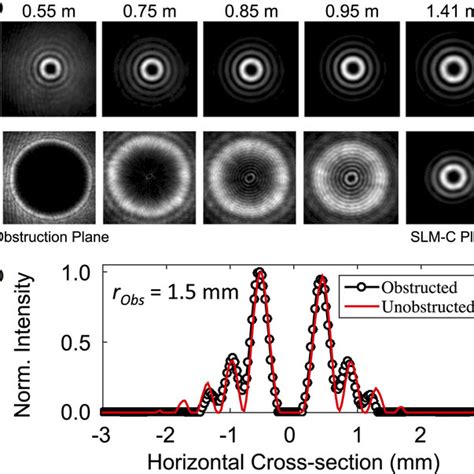 Transverse Intensity Profiles Of Obstructed And Unobstructed Bg Beam Download Scientific