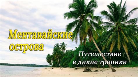 Ментавайские острова / Mentawai Islands / Путешествие в дикие тропики ...