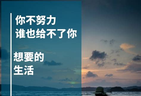 简约海报 你不努力谁也给不了你想要的生活 图司机