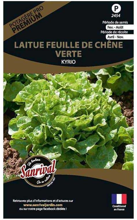 Graines potagères premium laitue feuille de chêne verte kyrio