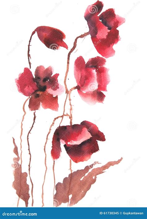 A Arte Moderna Da Papoila Vermelha Floresce Pintura Da Aquarela