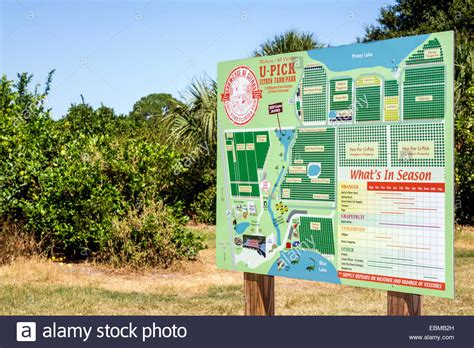 Clermont Florida Showcase Of Citrus Orange Grove Tangerine Lemon - Florida Orange Groves Map ...