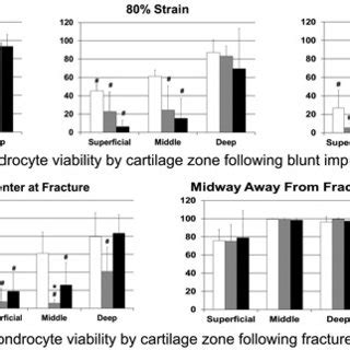 Chondrocyte Viability By Cartilage Zone Following A Blunt Impact And