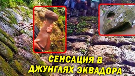 ДЖУНГЛИ ЭКВАДОРА! СЕНСАЦИЯ! СМОТРЕТЬ ВСЕМ! - YouTube