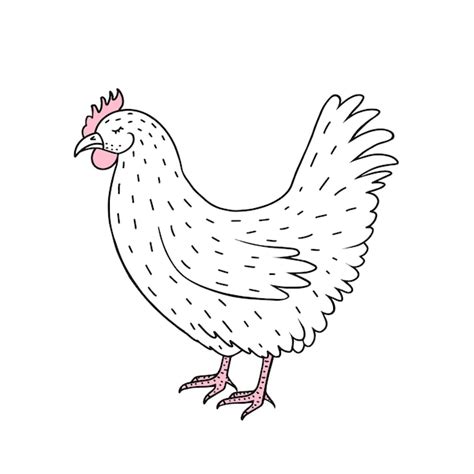 Premium Vector Hen Chicken Hand Drawn Illustration