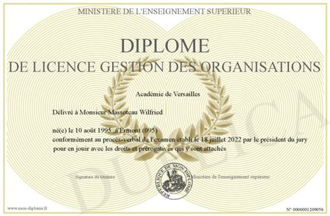 Diplome De Licence Gestion Des Organisations