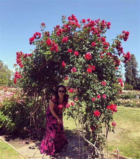 Ruusuja nuuhkimassa - San Jose Municipal Rose Garden Kaliforniassa