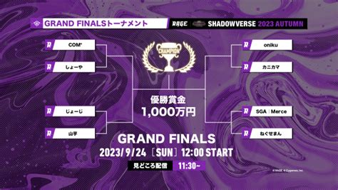 Rage Shadowverse 2023 Autumn Eスポーツ大会 Rage シャドウバース 特設サイト