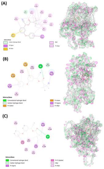 Biology Free Full Text The Effect Of The Pyrethroid Pesticide