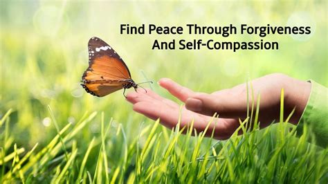 Find Peace Through Forgiveness And Self Compassion Successyeti