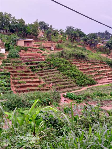 Mont Ngafula Kimwenza Gare réf SITE CEREK direction Cité Verte mise