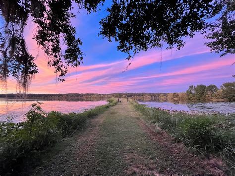 The unexpected view you get from the skytrain near me today 21