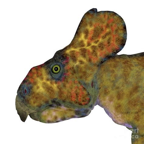 Protoceratops Male Dinosaur Head Digital Art By Corey Ford Fine Art