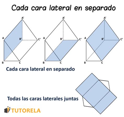 Las Caras Laterales Del Prisma Tutorela